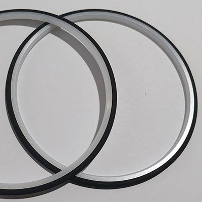 Pneumatic Seals for CoSmA Vehicle Access System