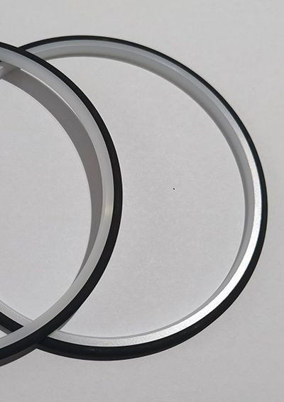 Pneumatic Seals for CoSmA Vehicle Access System