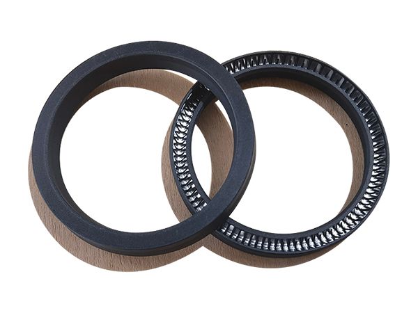 Cantilever Spring Energized Seal