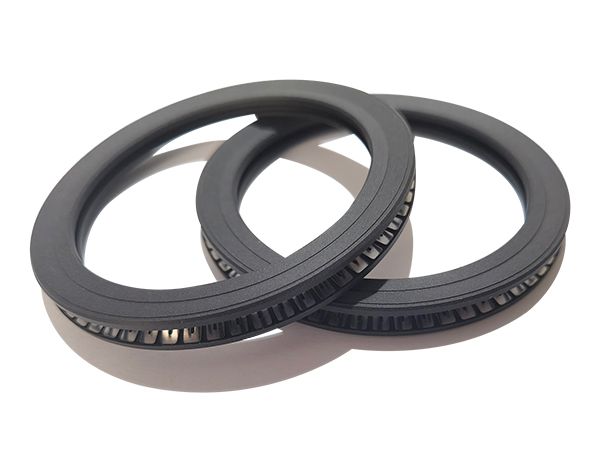 Spring Energized Face Seal