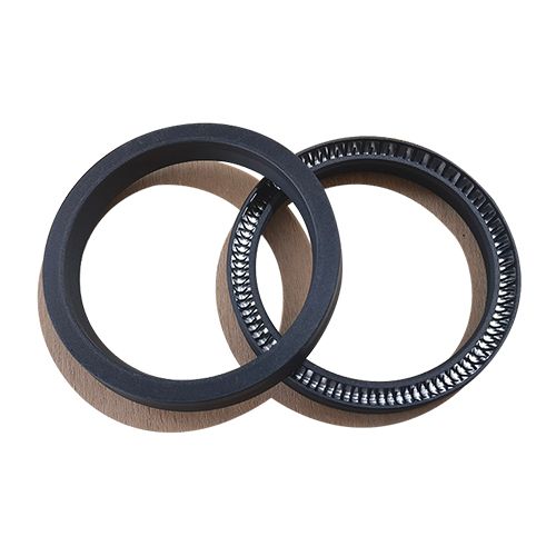 Cantilever Spring Energized Seal