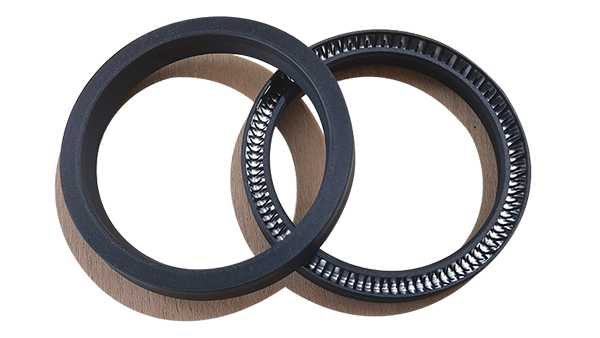 Cantilever Spring Energized Seal