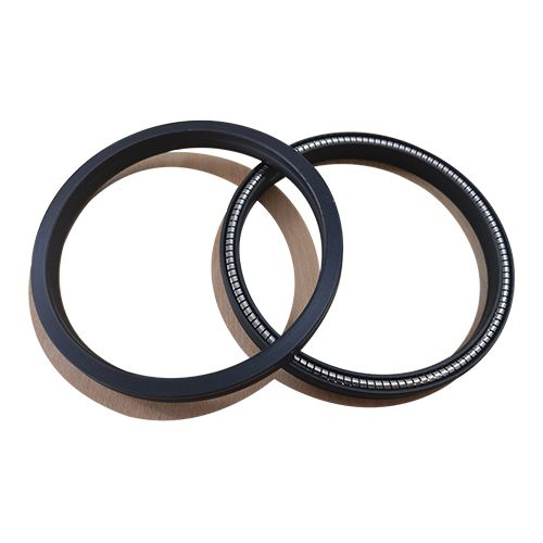 Helical Spring Energized Seal