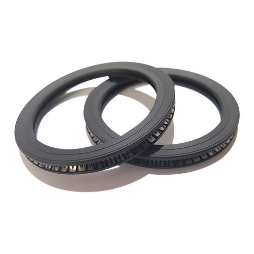 Spring Energized Face Seal