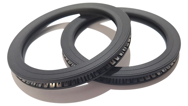 Spring Energized Face Seal