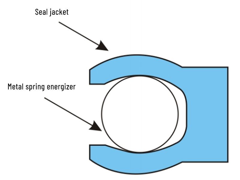 Spring Energized Seals