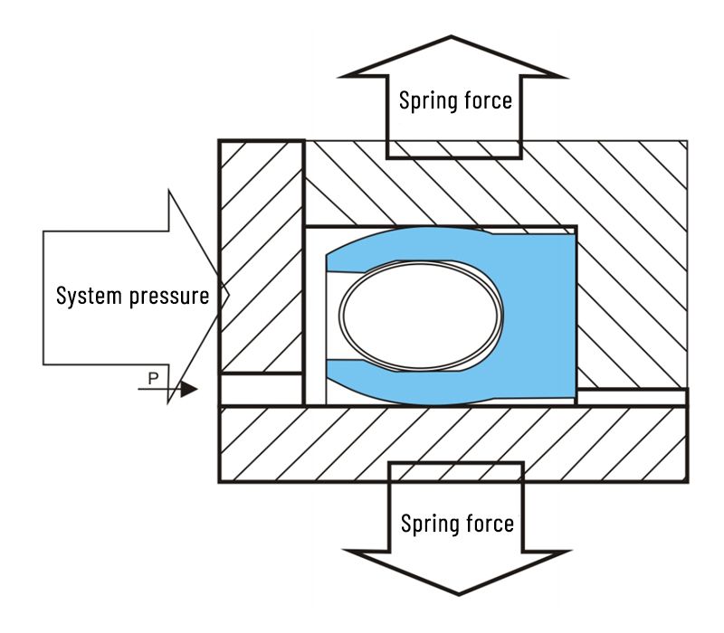 Spring Energized Seals